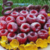 Foto Torta Emma