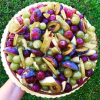 Foto Crostata alla frutta